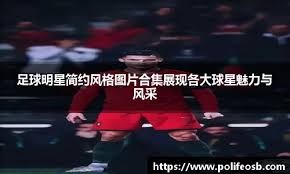 桥牌国际网络赛参赛队伍扩充