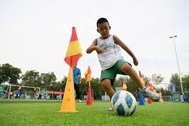 古蒂：哈维-阿隆索是安切洛蒂的接替者，皇马会给他机会的