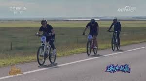 什么是牛牛中的“顺子牛”与“五花牛”？不同变种规则的收益对比。（顺子牛与五花牛怎么区分？牛牛各变种规则的收益差异一览）